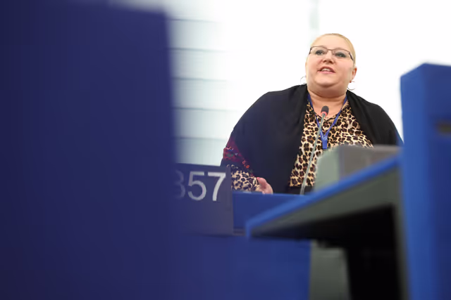 EP Plenary session - Renewal of the mandate of the Internet Governance Forum