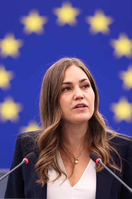 Fotografija 36: EP Plenary session - Devastating wildfires in Southern Europe: the need to strengthen EU aid to restore the massive loss of forests and enhancing EU preparedness