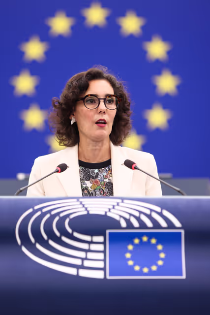 Fotografija 32: EP Plenary session - Devastating wildfires in Southern Europe: the need to strengthen EU aid to restore the massive loss of forests and enhancing EU preparedness