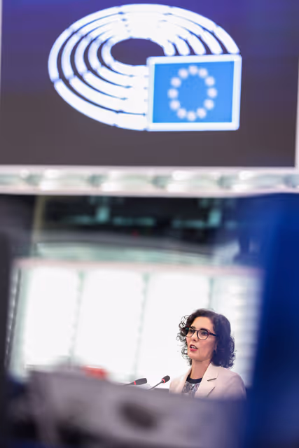 Fotografija 28: EP Plenary session - Devastating wildfires in Southern Europe: the need to strengthen EU aid to restore the massive loss of forests and enhancing EU preparedness