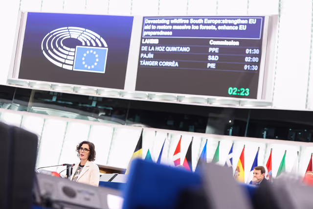 Fotografija 29: EP Plenary session - Devastating wildfires in Southern Europe: the need to strengthen EU aid to restore the massive loss of forests and enhancing EU preparedness