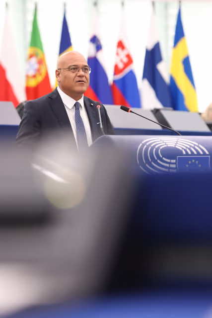 Fotografija 28: EP Plenary session - Devastating wildfires in Southern Europe: the need to strengthen EU aid to restore the massive loss of forests and enhancing EU preparedness