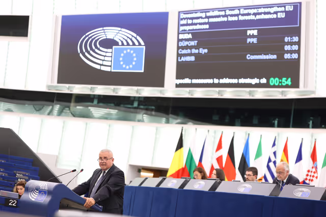 Fotografija 15: EP Plenary session - Devastating wildfires in Southern Europe: the need to strengthen EU aid to restore the massive loss of forests and enhancing EU preparedness