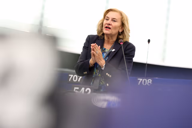 Fotografija 5: EP Plenary session - Devastating wildfires in Southern Europe: the need to strengthen EU aid to restore the massive loss of forests and enhancing EU preparedness
