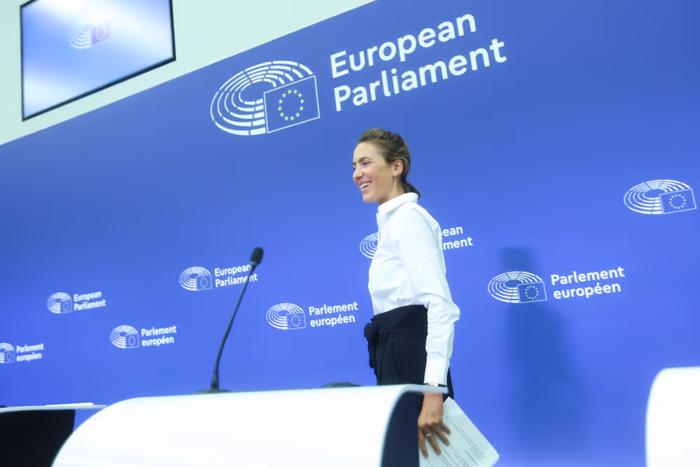 Press briefing Renew Europe