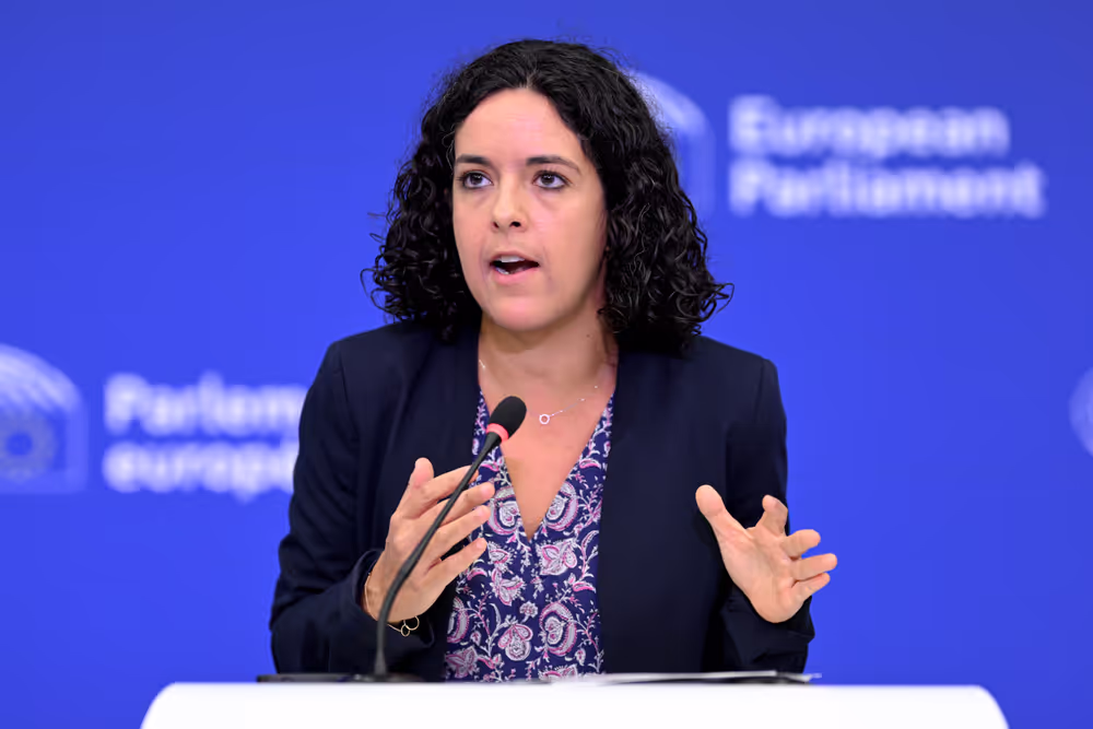 Press briefing The Left