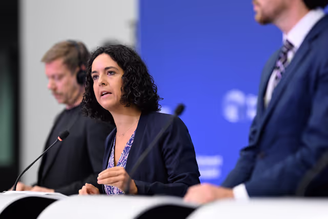 Press briefing The Left