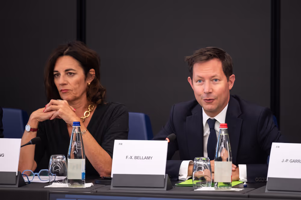 French MEPS meet with  journalists