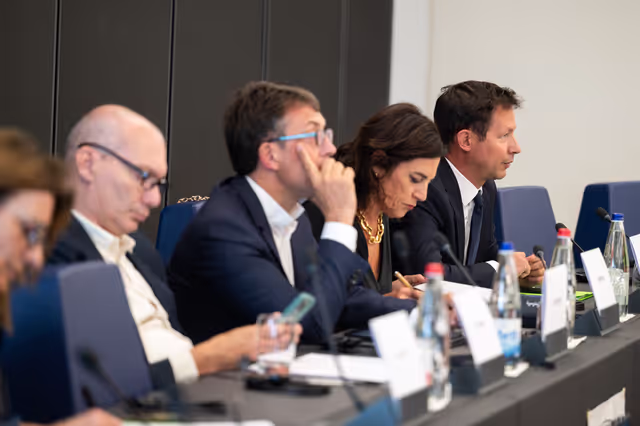 Fotografi 28: French MEPS meet with  journalists