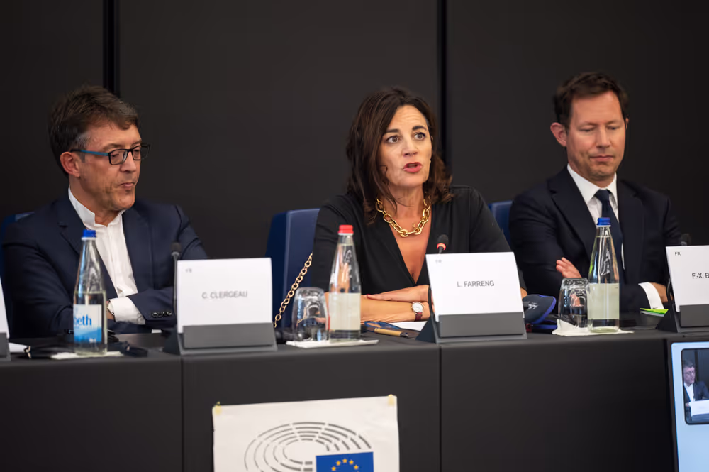 French MEPS meet with  journalists