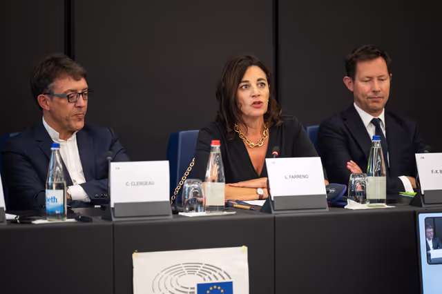 Fotografi 19: French MEPS meet with  journalists