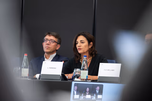 Fotografi 13: French MEPS meet with  journalists