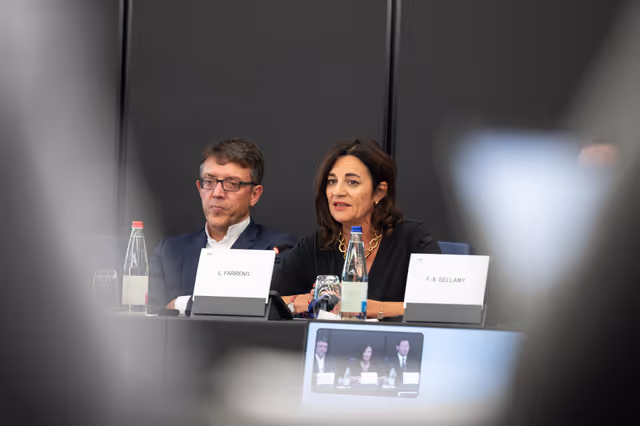 Fotografi 14: French MEPS meet with  journalists