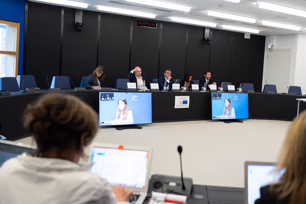 French MEPS meet with  journalists