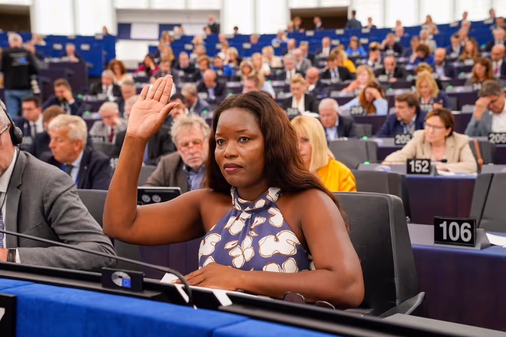 EP Plenary session - Voting session
