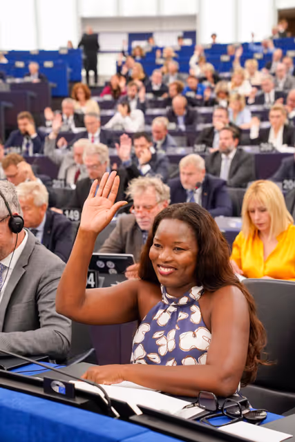 EP Plenary session - Voting session