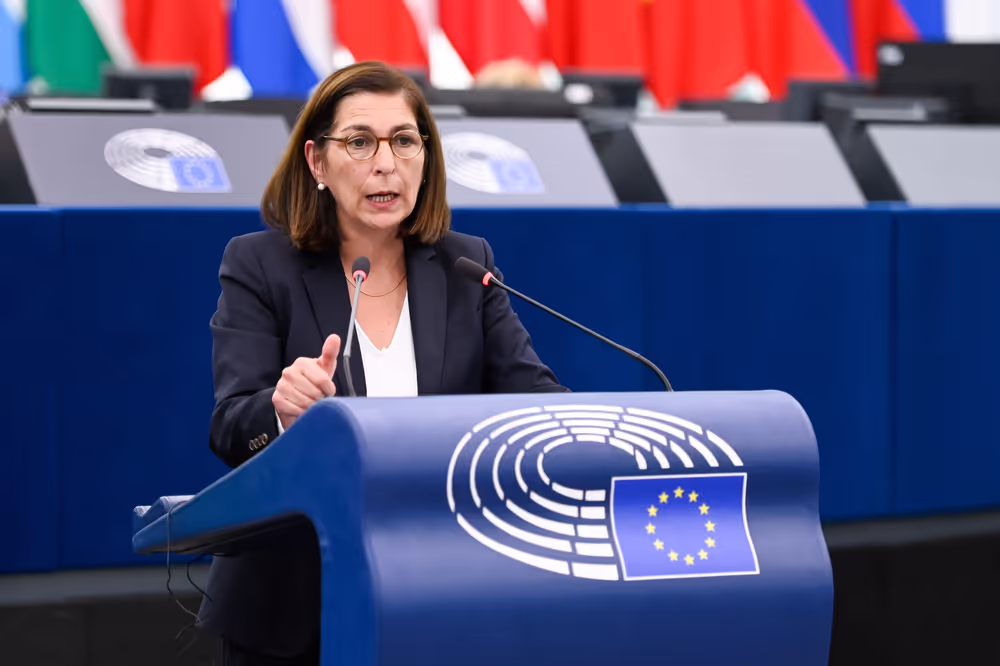 EP Plenary session - Need for a strong European Democracy Shield to enhance democracy