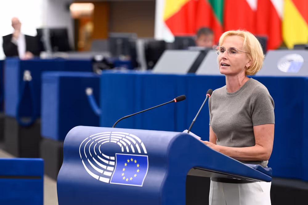 EP Plenary session - Need for a strong European Democracy Shield to enhance democracy