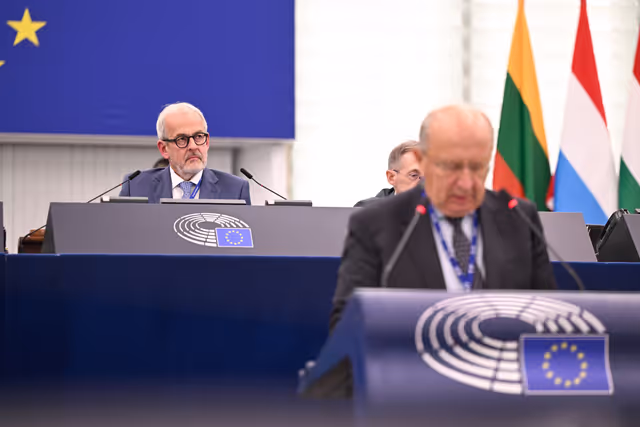 EP Plenary session China’s unjustified decision to impose duties on imports of pork products from the EU, and the need to support European farmers and workers