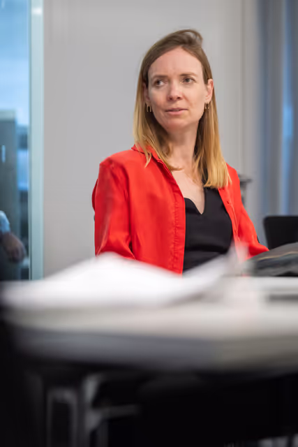 Φωτογραφία 3: Press briefing with Anna CAVAZZINI