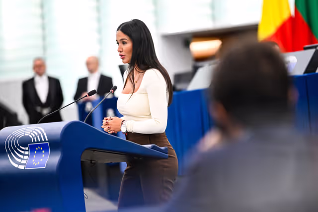 Fotagrafa 49: EP Plenary session - Summer of heatwaves in the EU: addressing the causes and providing adequate housing and health policies to record-breaking temperatures