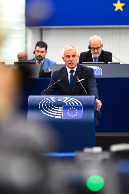 Fotagrafa 23: EP Plenary session - Summer of heatwaves in the EU: addressing the causes and providing adequate housing and health policies to record-breaking temperatures