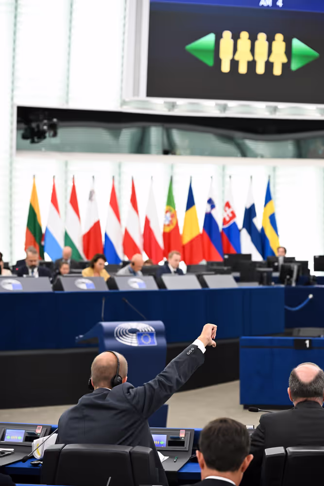 EP Plenary session - Voting session