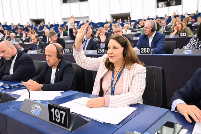 Снимка 10: EP Plenary session - Voting session