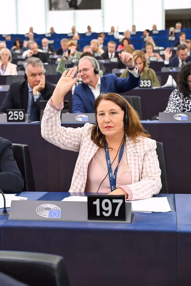 EP Plenary session - Voting session