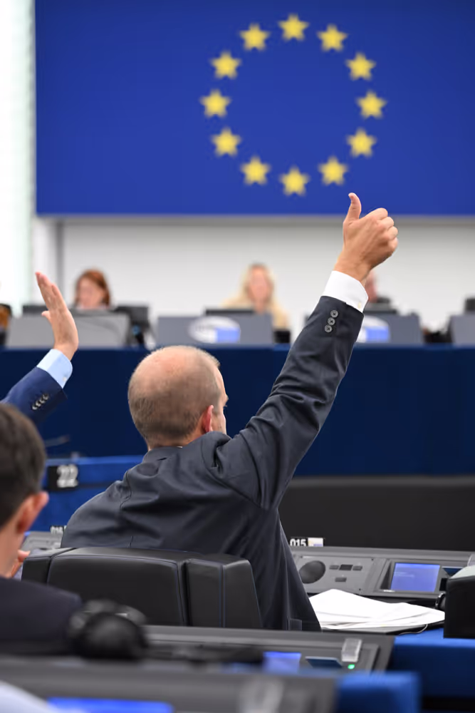 EP Plenary session - Voting session