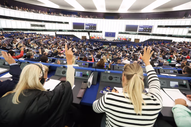EP Plenary session - Voting session