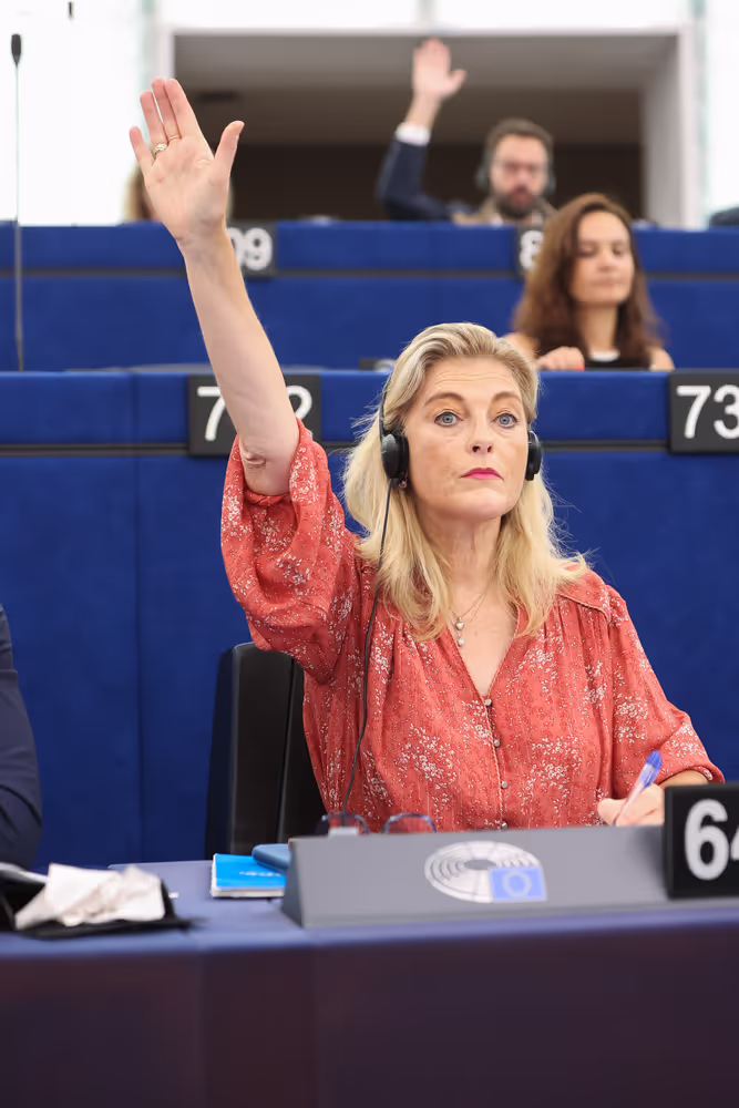 EP Plenary session - Voting session