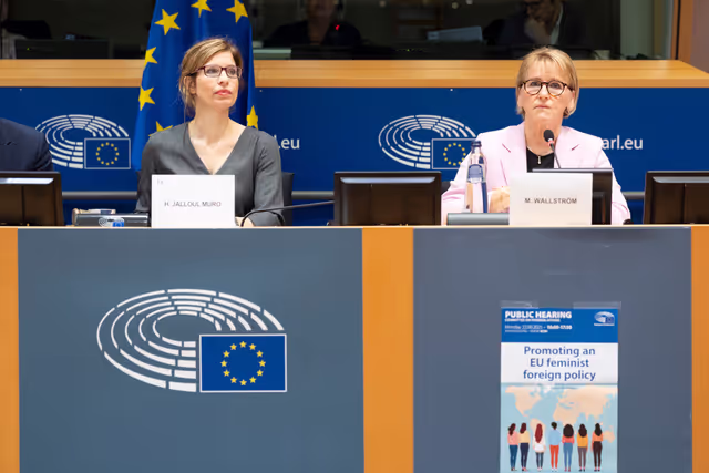 Φωτογραφία 14: AFET - Public hearing on promoting an EU feminist foreign policy