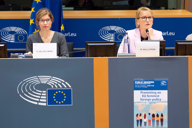 Φωτογραφία 15: AFET - Public hearing on promoting an EU feminist foreign policy