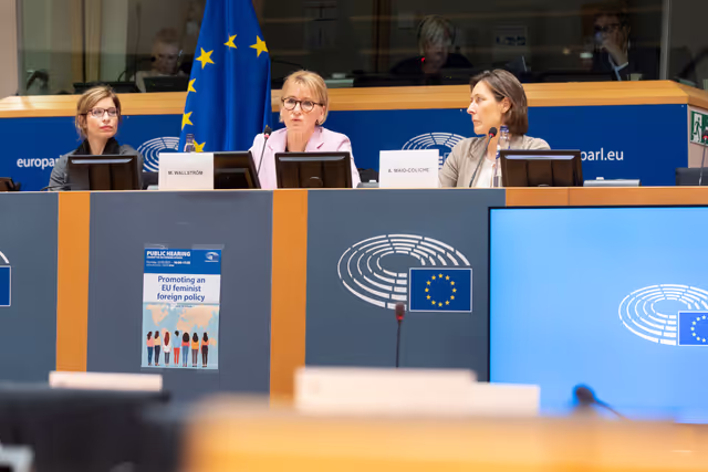 Φωτογραφία 10: AFET - Public hearing on promoting an EU feminist foreign policy