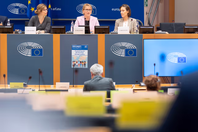 AFET - Public hearing on promoting an EU feminist foreign policy
