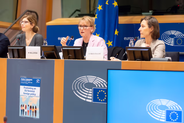 Φωτογραφία 6: AFET - Public hearing on promoting an EU feminist foreign policy