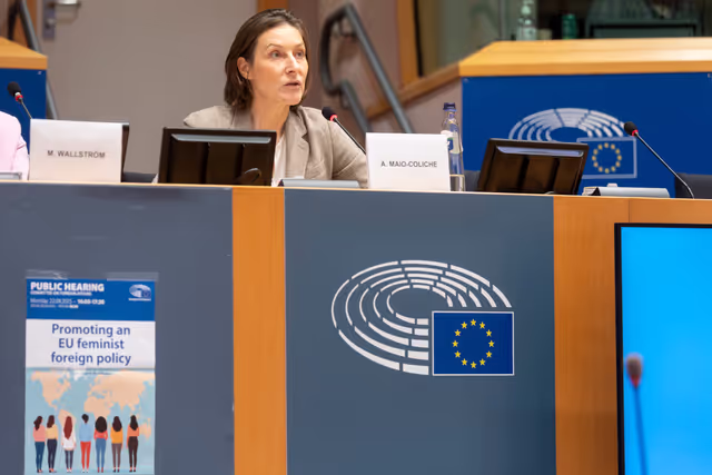 Φωτογραφία 5: AFET - Public hearing on promoting an EU feminist foreign policy