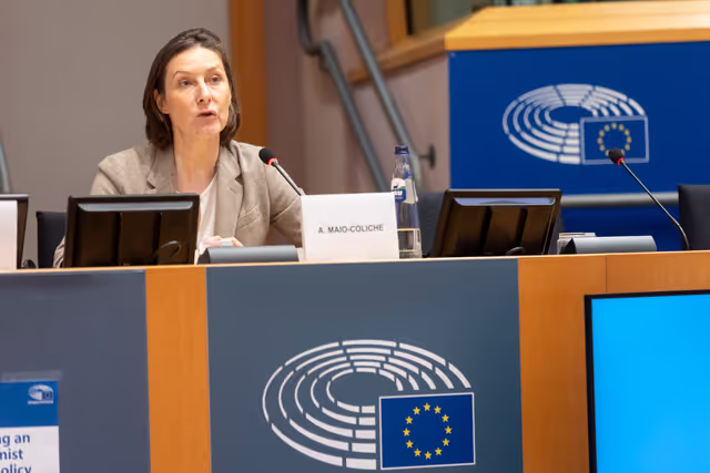 Φωτογραφία 2: AFET - Public hearing on promoting an EU feminist foreign policy