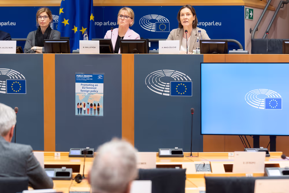 AFET - Public hearing on promoting an EU feminist foreign policy