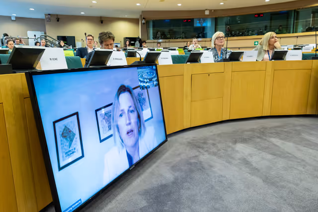 Valokuva 8: FISC - Public hearing on ' Tax implications of the Trump administration’s policies '