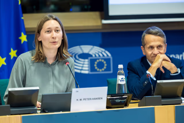 Valokuva 19: FISC - Public hearing on ' Tax implications of the Trump administration’s policies '