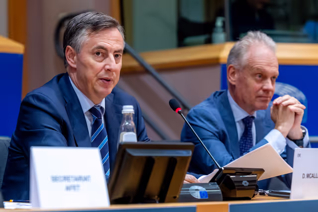 AFET BUDG - Ukraine Facility Dialogue with Gert Jan KOOPMAN, Director General, DG ENEST