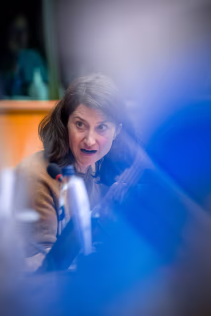 JURI - Exchange of views with the European Ombudsman Teresa Anjinho