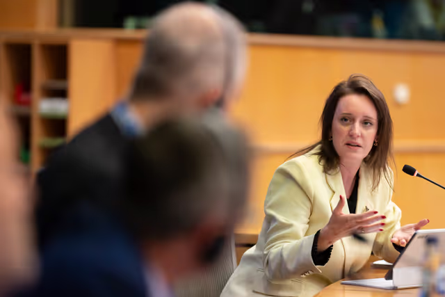 Photo 17 : REGI - Presentation by the Commission of the legislative proposals for NRPP and ERDF