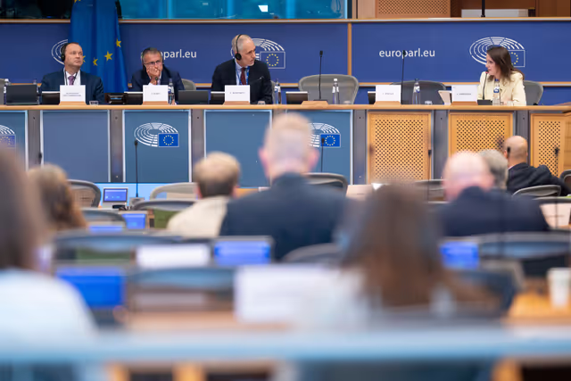 Photo 16 : REGI - Presentation by the Commission of the legislative proposals for NRPP and ERDF