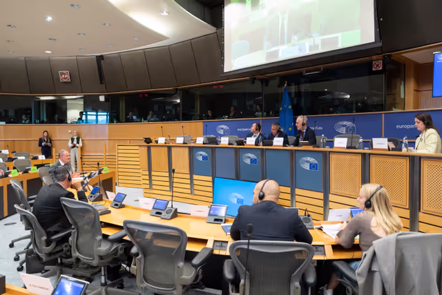 Photo 25 : REGI - Presentation by the Commission of the legislative proposals for NRPP and ERDF