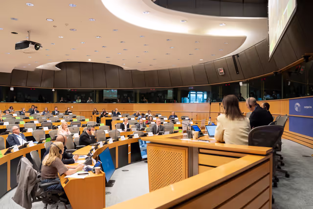 Photo 24 : REGI - Presentation by the Commission of the legislative proposals for NRPP and ERDF