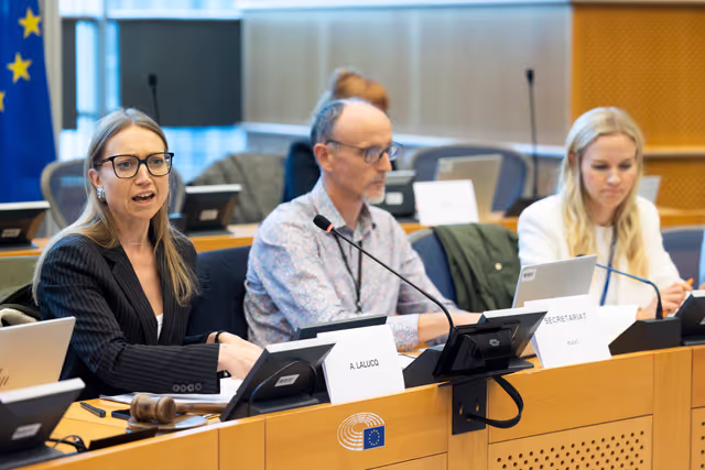 Valokuva 21: BUDG ECON - Trilogue on InvestEU