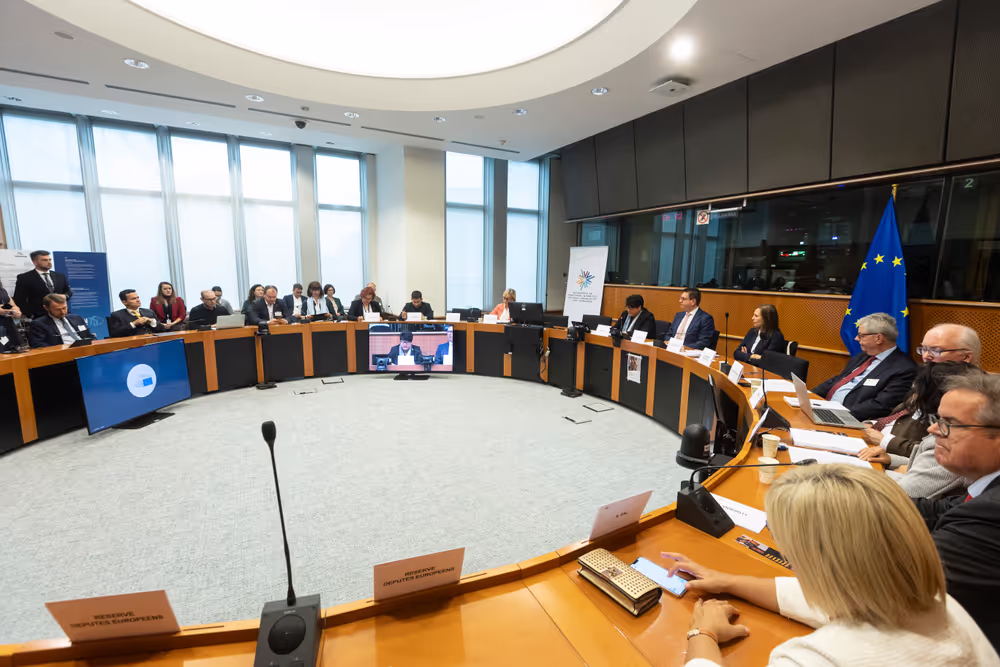 Minorities Intergroup Conference - Pillars of diversity: Our linguistic heritage shapes Europe